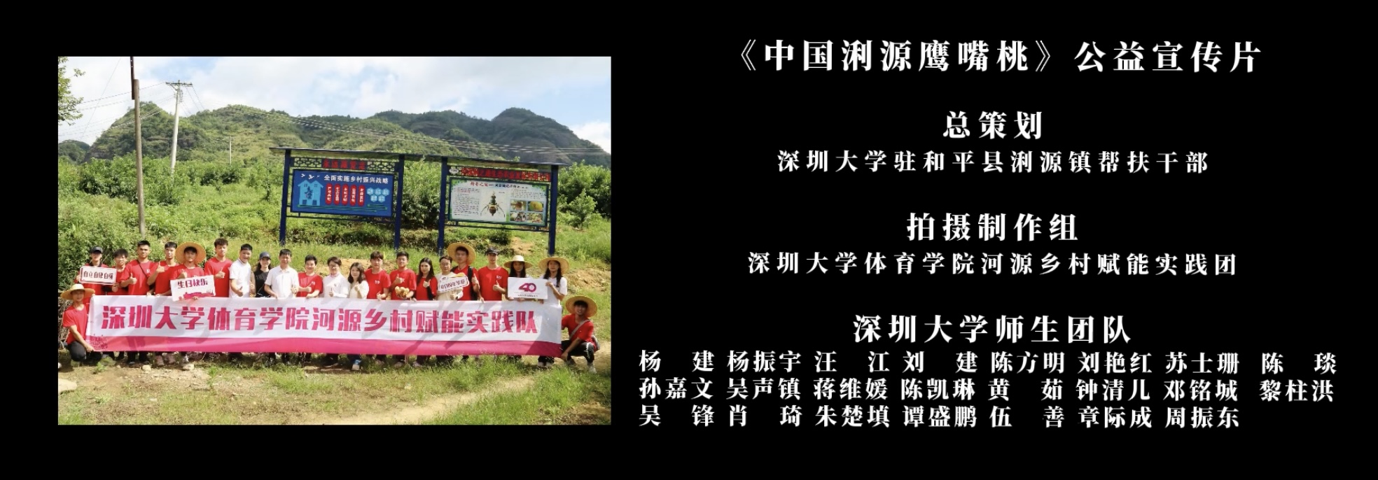 球速体育