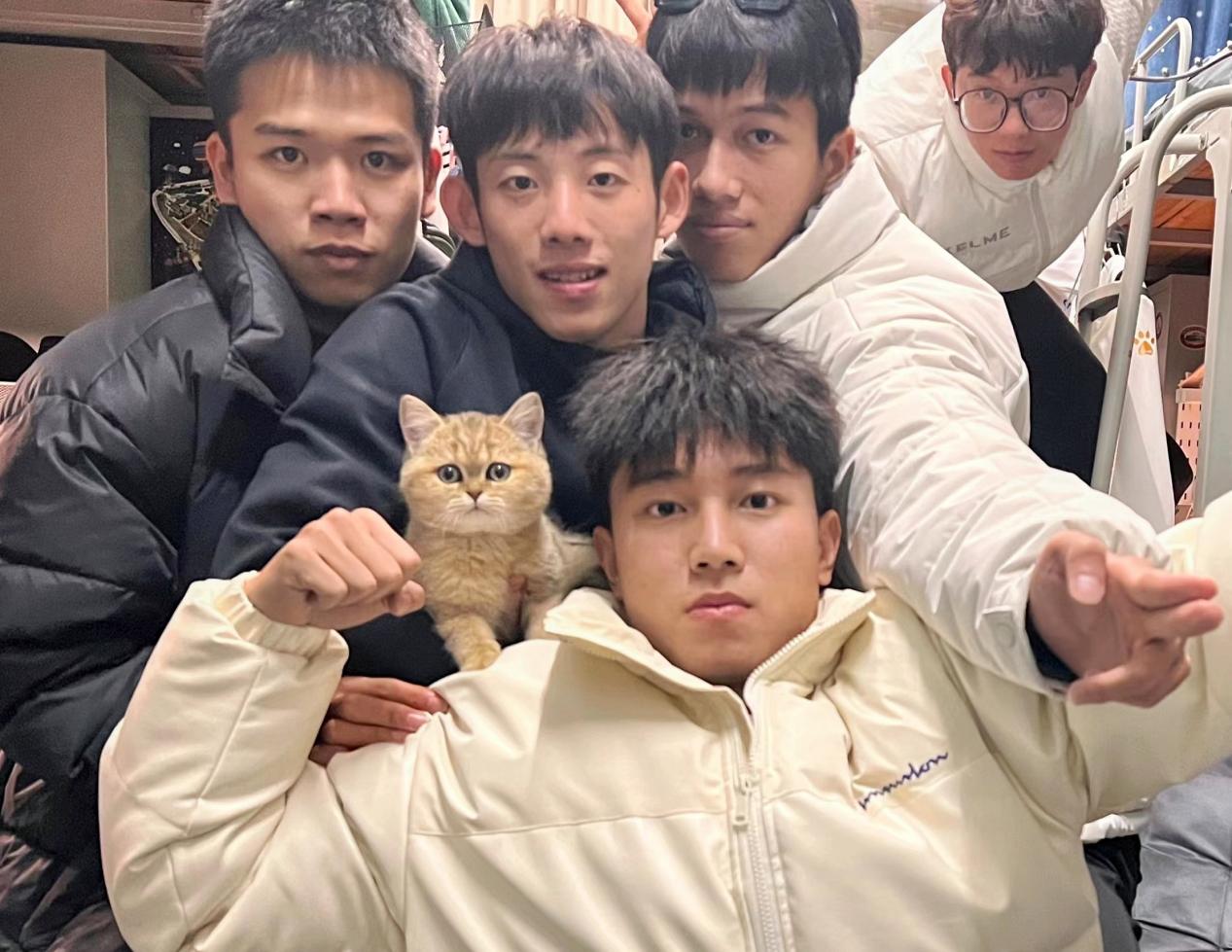 球速体育